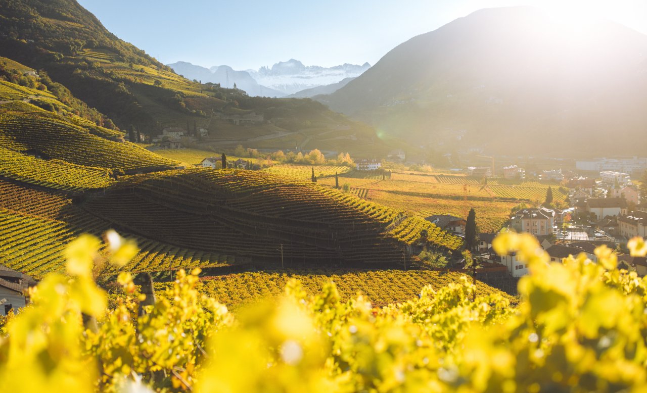 Südtirol erleben